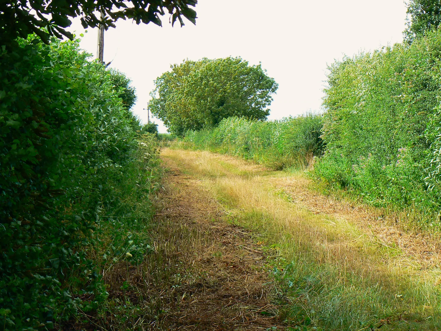 Photo showing: Bridleway to Charlham Farm and beyond, Down Ampney