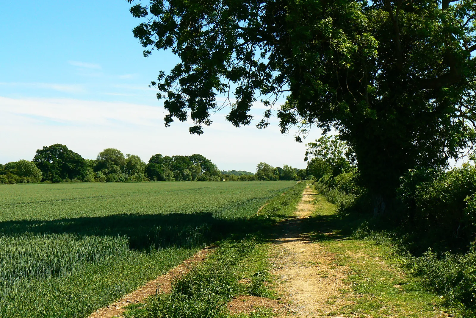 Photo showing: Bridleway to Down Ampney