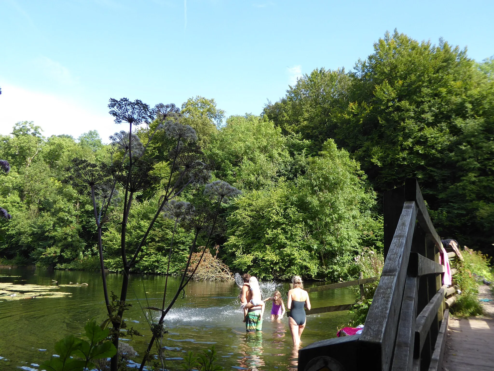 Photo showing: A family bathing in Cherington Pond