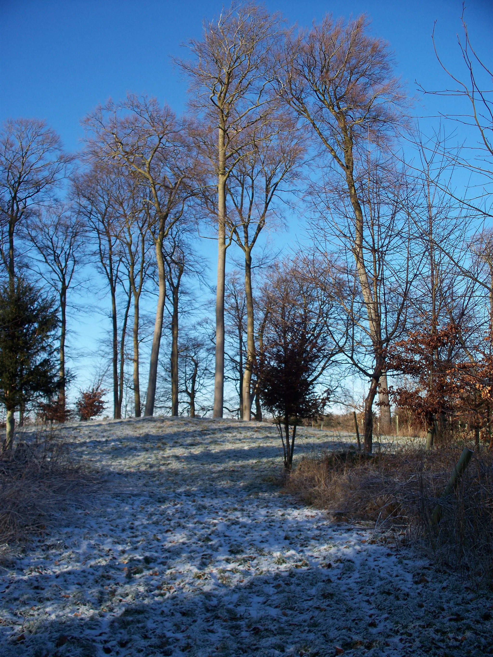 Photo showing: Ancient burial mound On top of the hill there is a large clump of trees surrounded by a ditch.  In the centre of the clump is this mound.  Judicious planting has left a number of clear avenues to the centre of the clump.