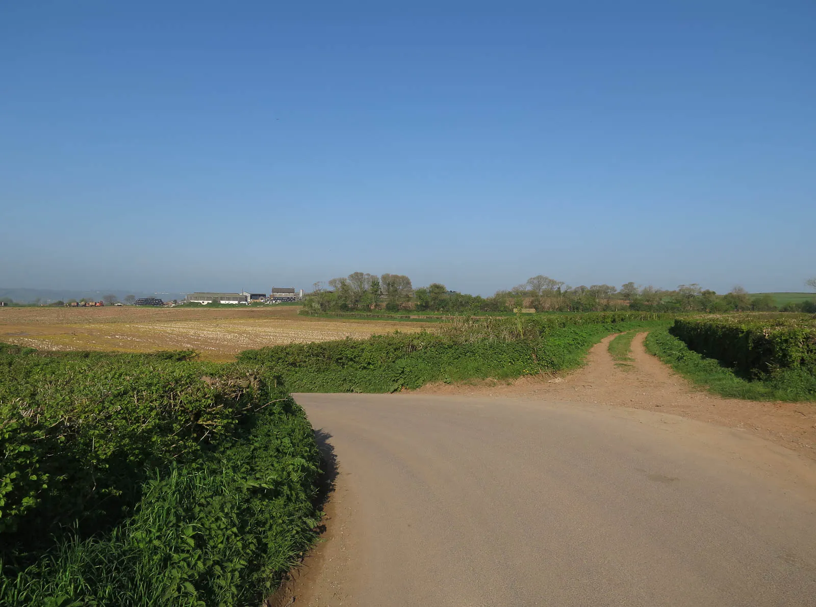 Photo showing: Bridleway from Hayes Lane