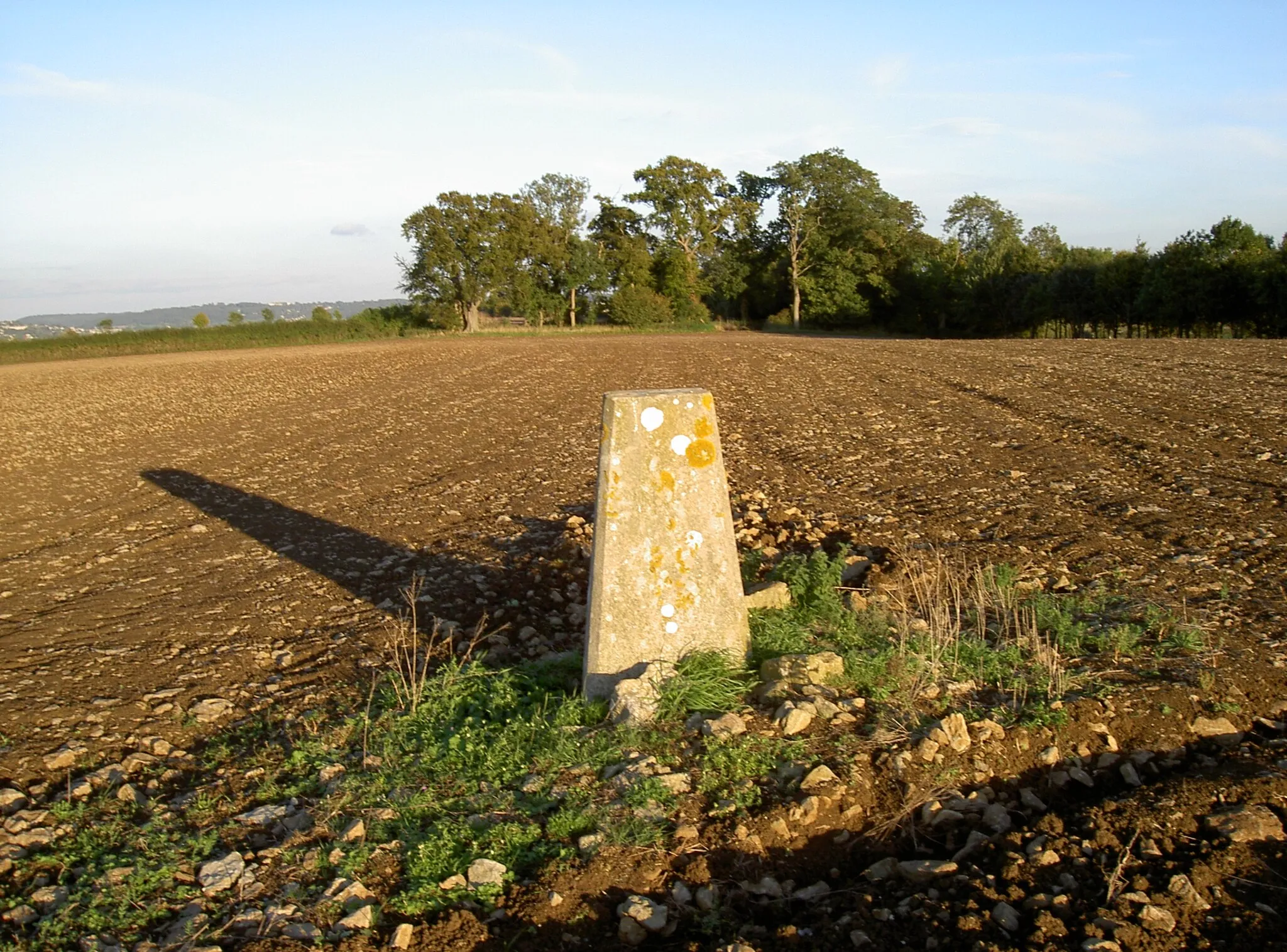 Photo showing: Ashton Hill trig point