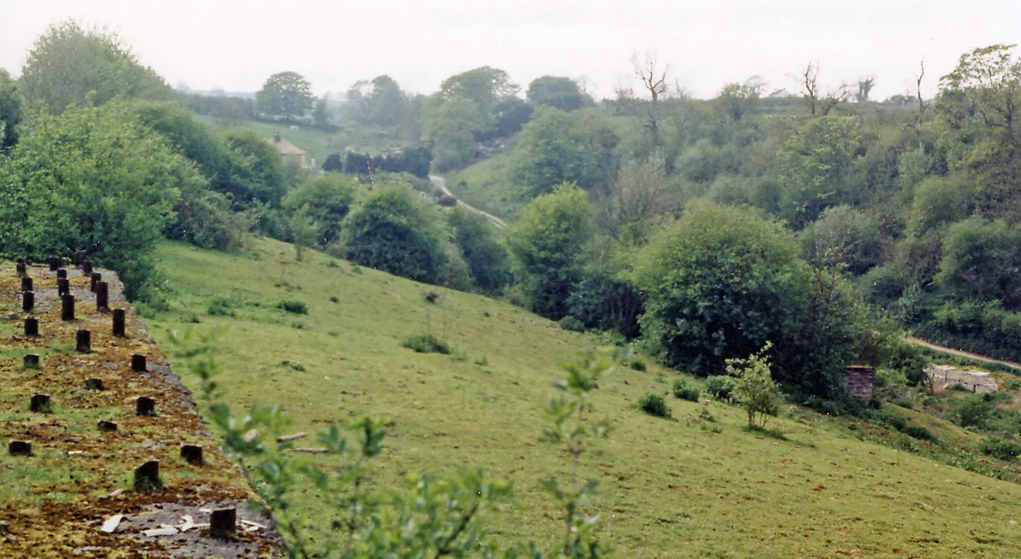 Photo showing: Site of Chilcompton station, 1987.
View SW, towards Evercreech Junction, Templecombe and Bournemouth: ex-Midland & LSW (Somerset & Dorset) Joint line, Bath - Bournemouth West. This was on the long climb from Radstock to Masbury Summit; ahead was Chilcompton Tunnel. The whole line was closed on 7/3/66.