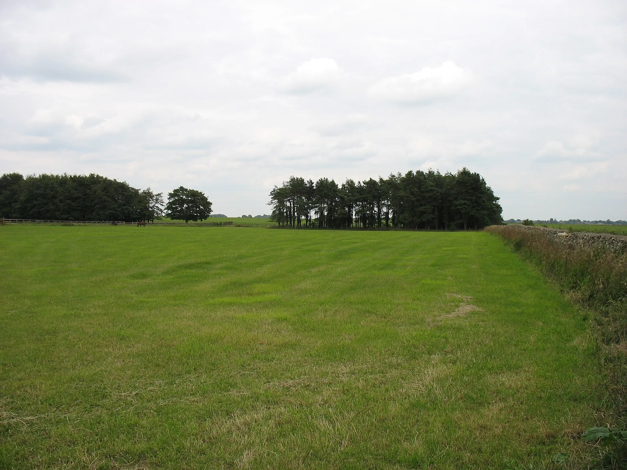 Photo showing: A field close to Tresham