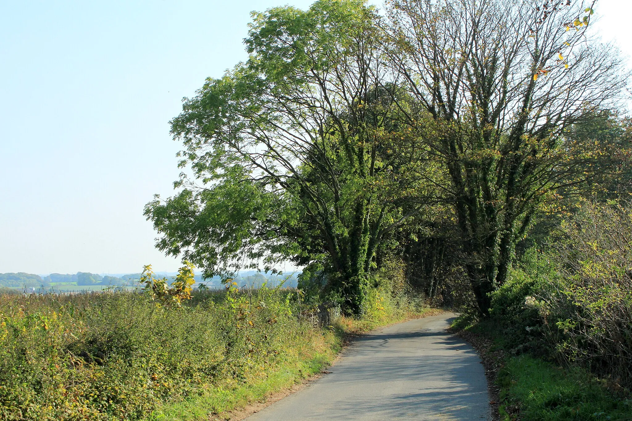 Photo showing: 2011 : South on Highfield Lane