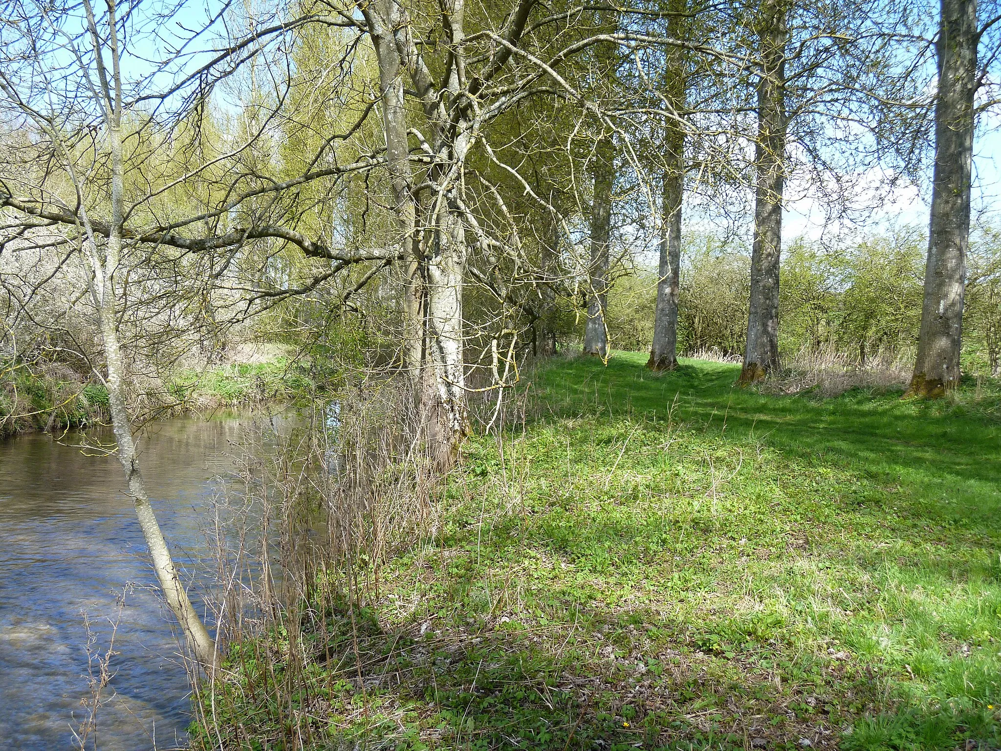 Photo showing: Along the river bank