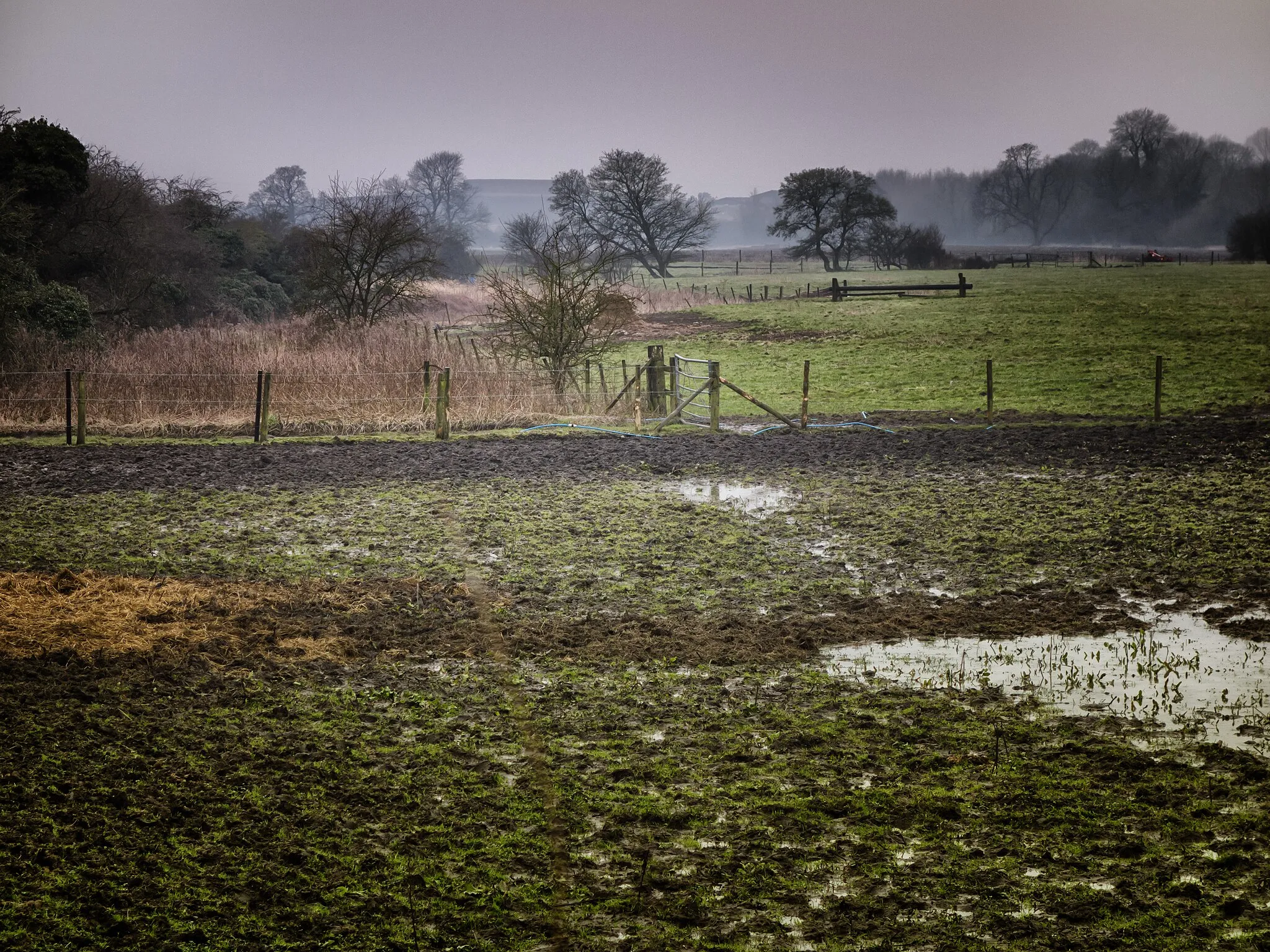 Photo showing: Across farmland towards All Cannings