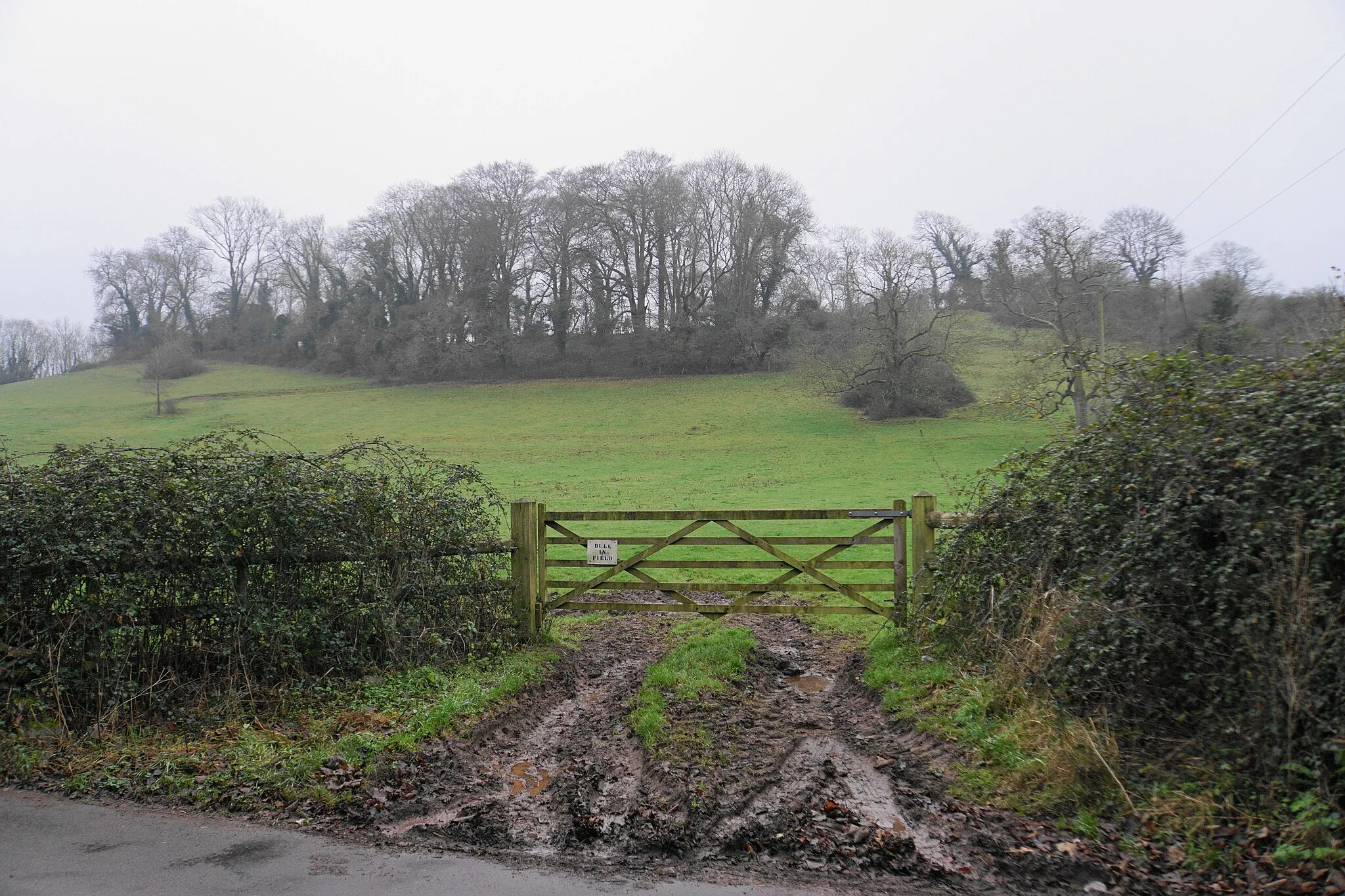 Photo showing: Field entrance below Wattles Wood