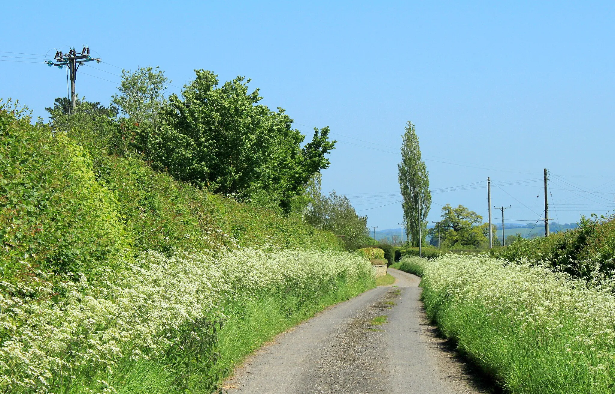 Photo showing: 2012 : Looking east along Hedge Lane