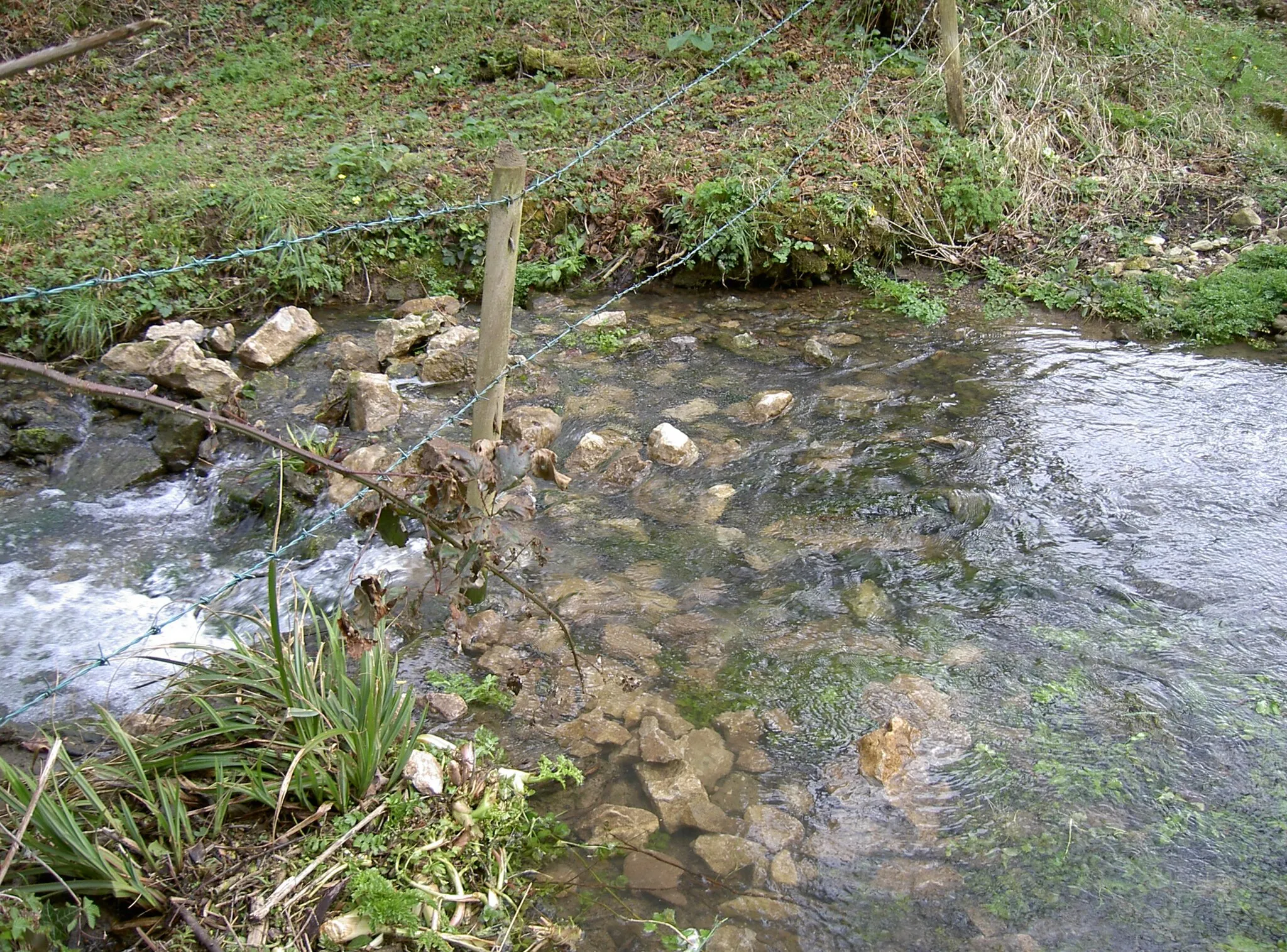 Photo showing: Barbed water
