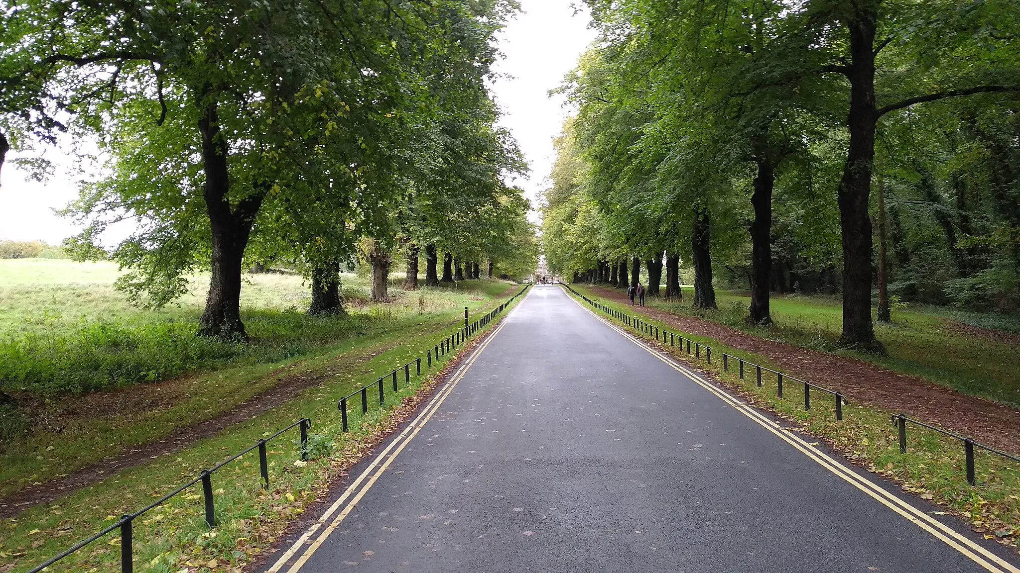 Photo showing: Ashton road to B3129.