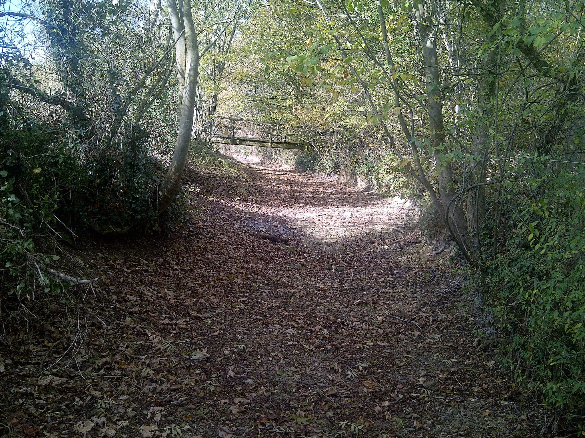 Photo showing: A very dry River Thames near Neigh Bridge