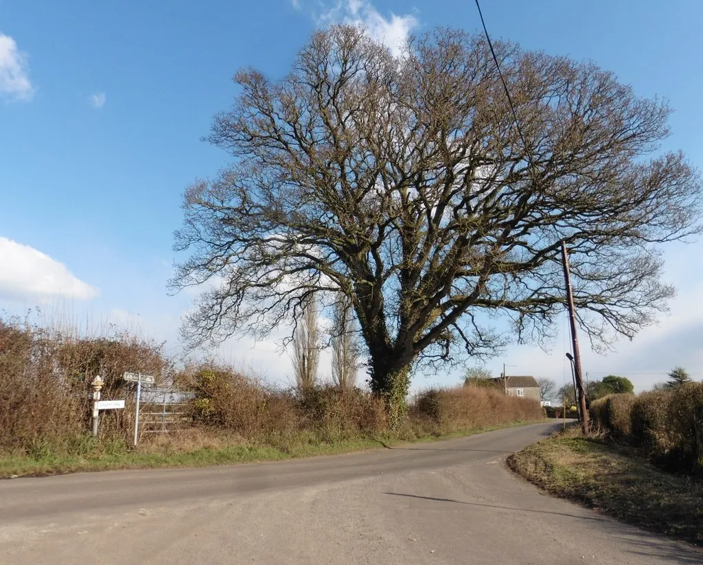 Photo showing: Junction on Sparkford Road