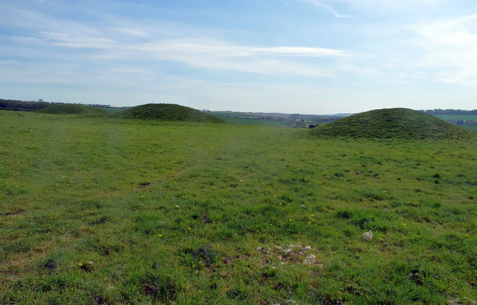 Photo showing: Tumuli near The Sanctuary