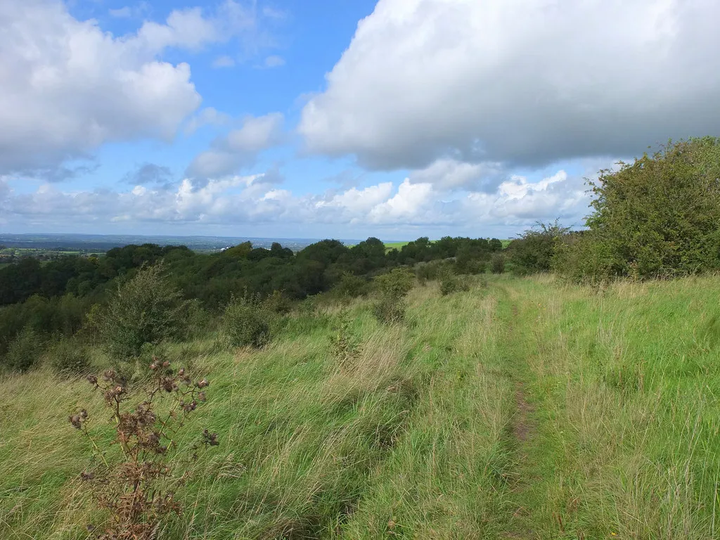 Photo showing: Path on Arn Hill Down