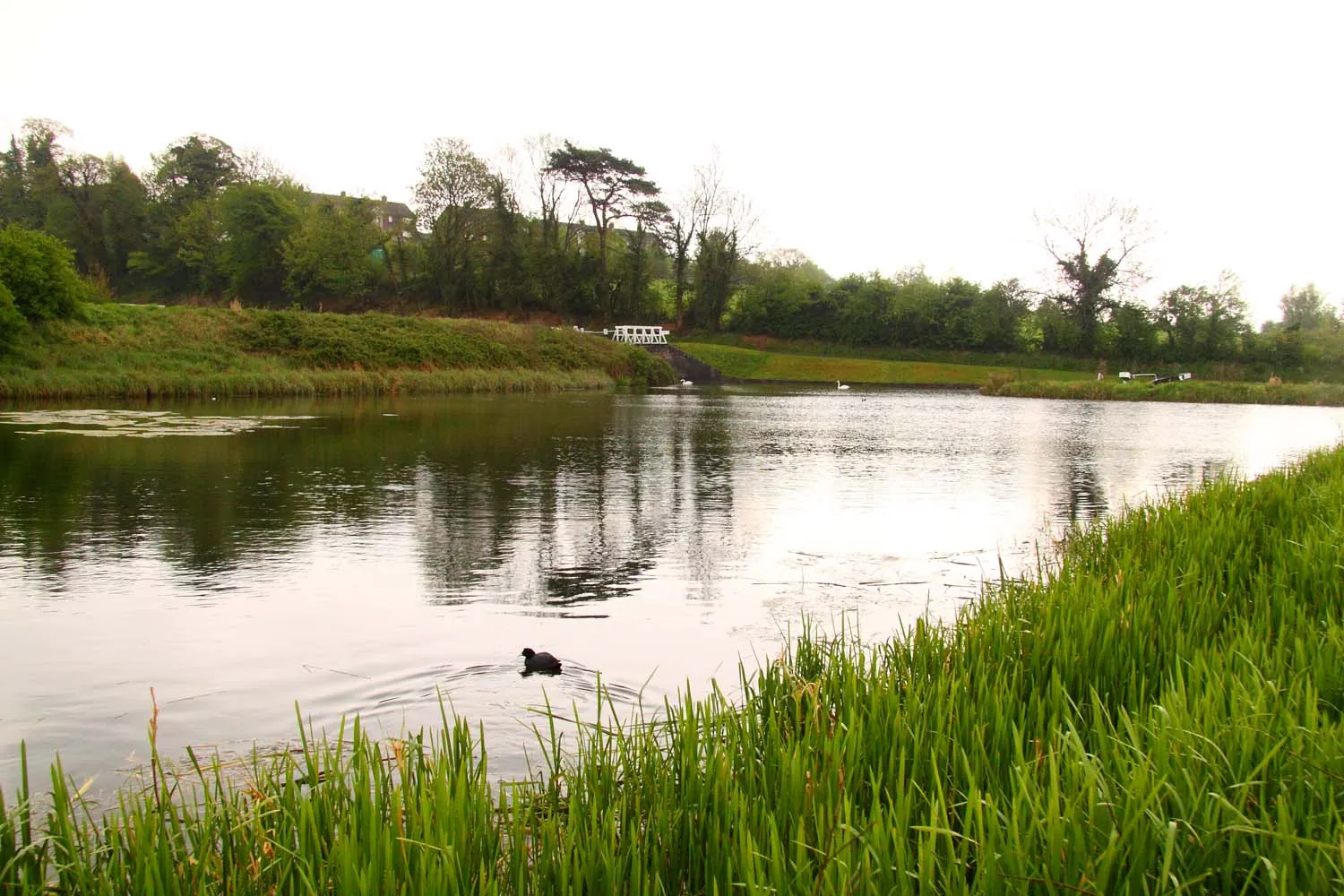 Photo showing: A side pond at Caen Hill Locks