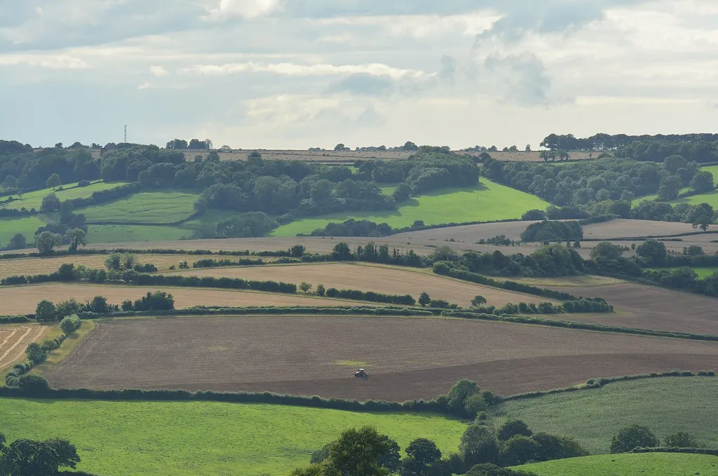 Photo showing: Brown fields near Colerne, Wiltshire