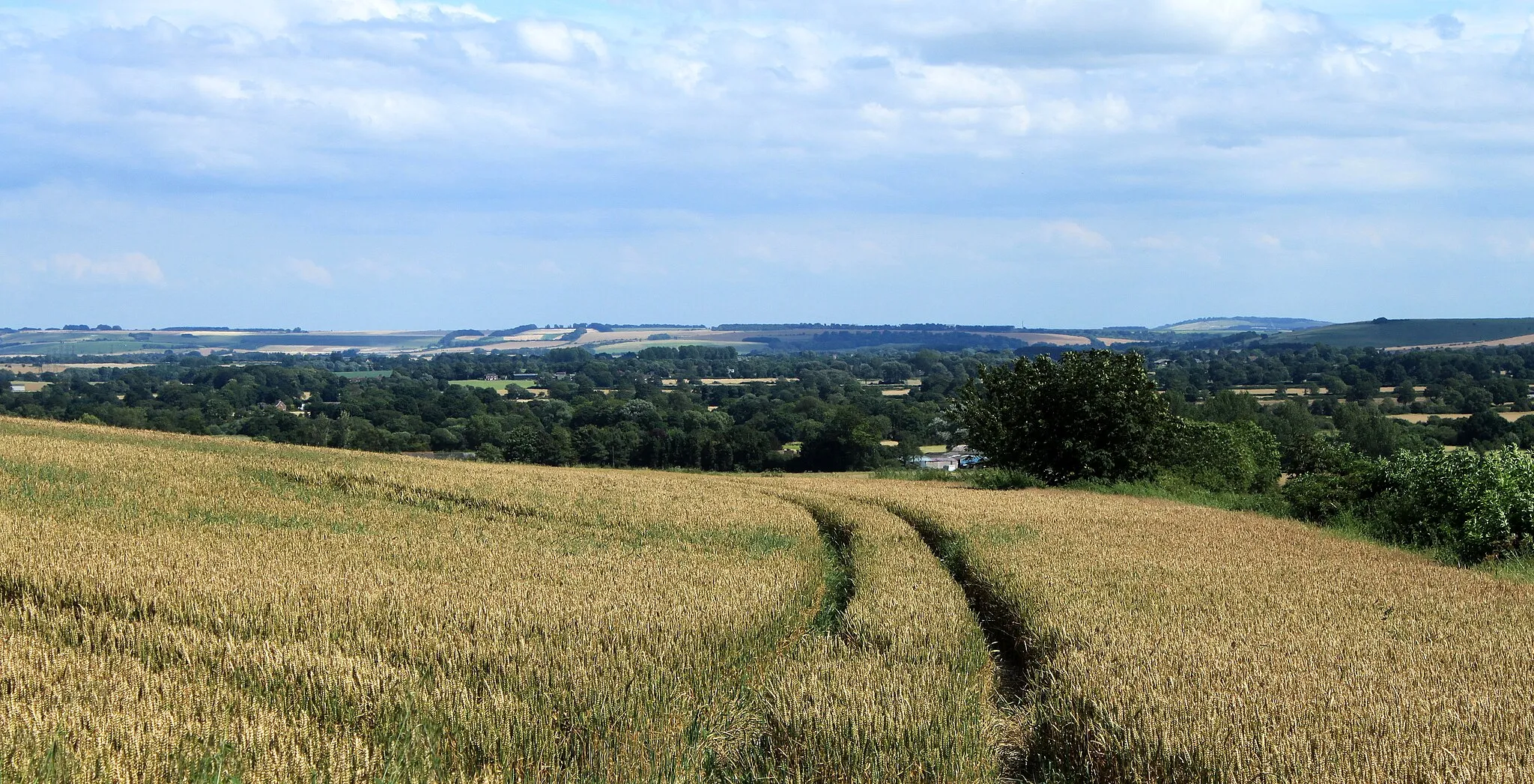 Photo showing: 2012 : Viewpoint on the lane to Etchilhampton