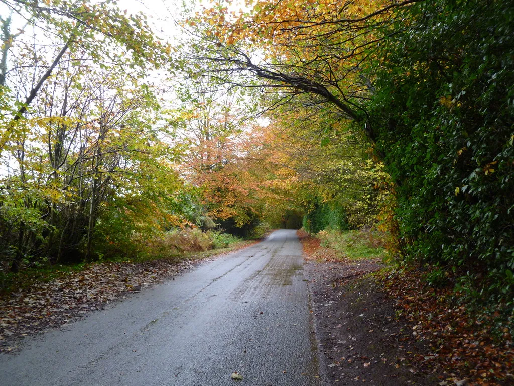 Photo showing: Horningsham, autumn colours