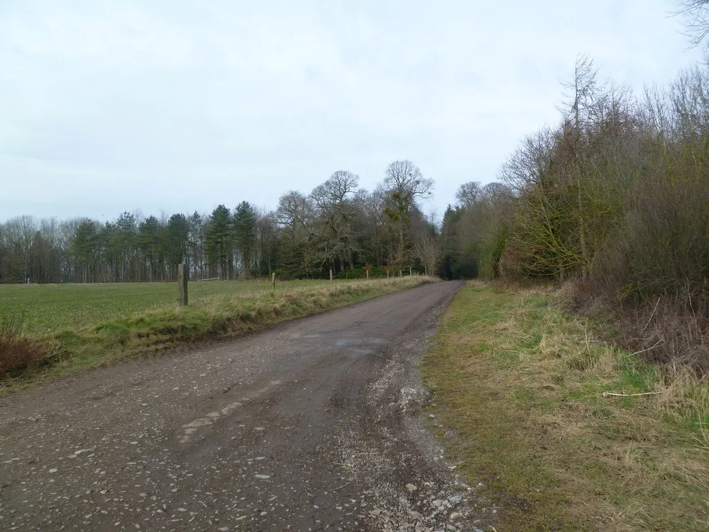 Photo showing: Moor Crichel, farm road