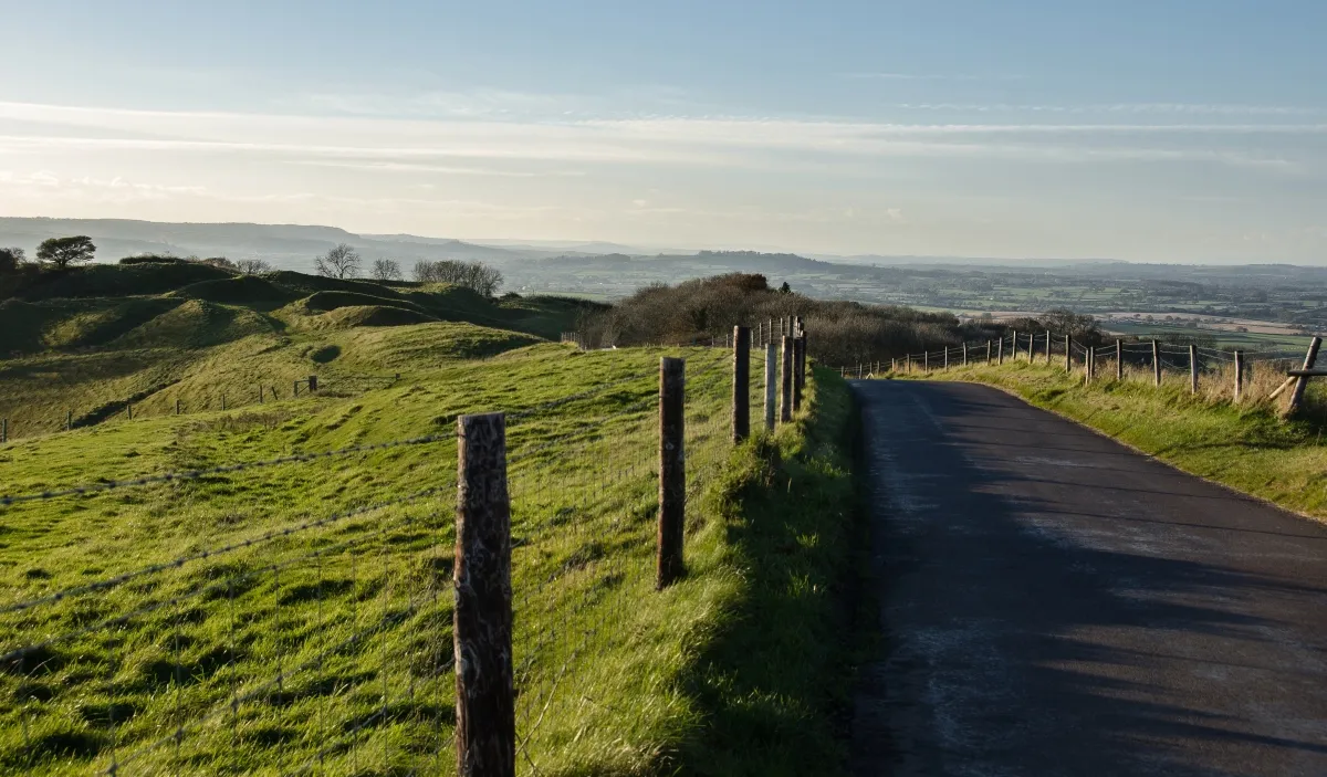 Photo showing: Bulbarrow Hill Dorset