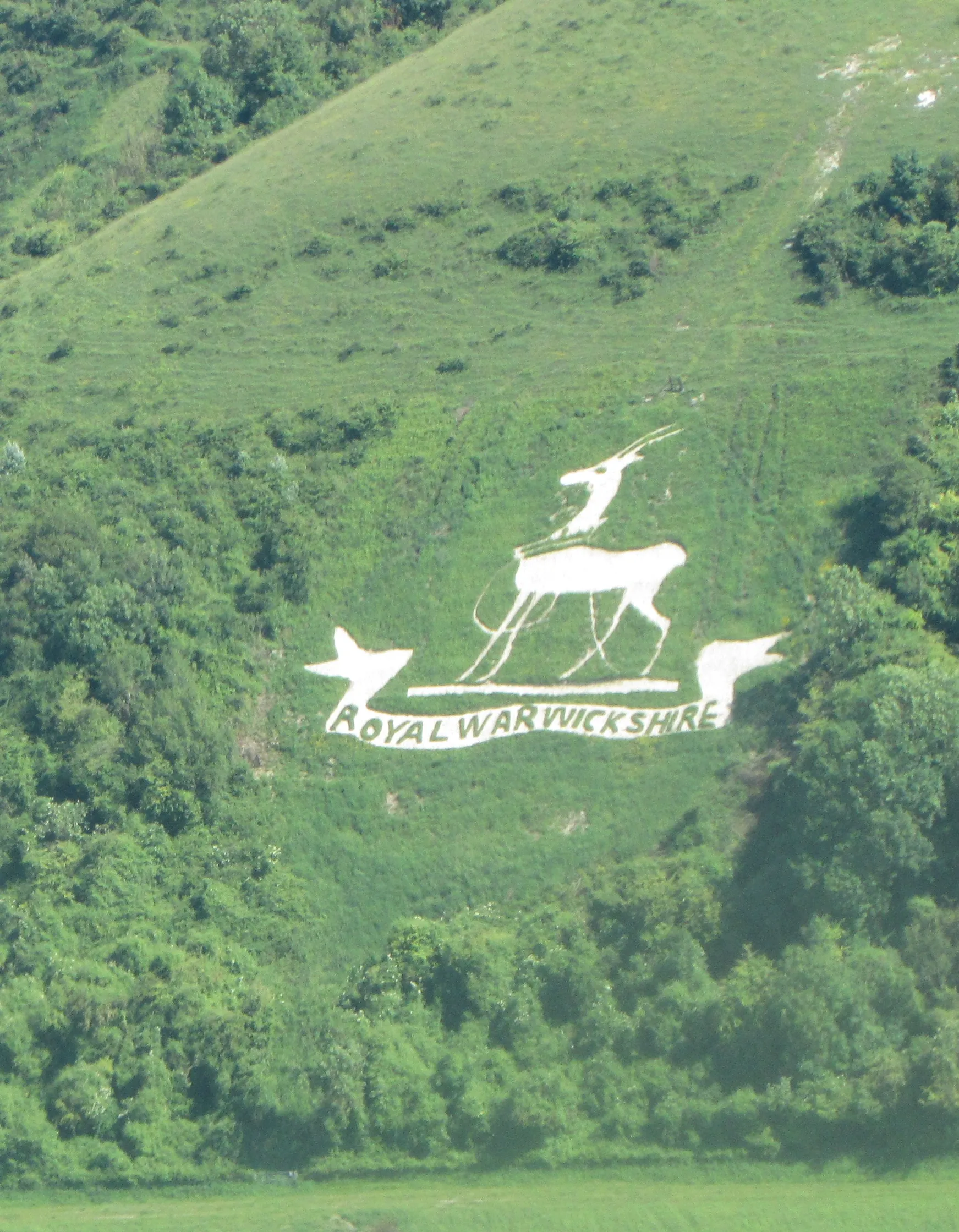 Photo showing: This image shows the regimental badge of the Royal Warwickshire Regiment on the downland to the south of Sutton Mandeville, about 10 miles west of Salisbury in the UK. It was originally cut during WWI when troops from that regiment were camped and trained below the hill as preparation for onward transit to the war theatre in France. The badge was cleared and refurbished during the spring of 2018  and the new work was inaugurated by His Royal Highness the Duke of Kent in a ceremony on Thursday, 3rd May 2018. The Duke of Kent is the Colonel-in-Chief of the Royal Regiment of Fusiliers the successor of the RWR.