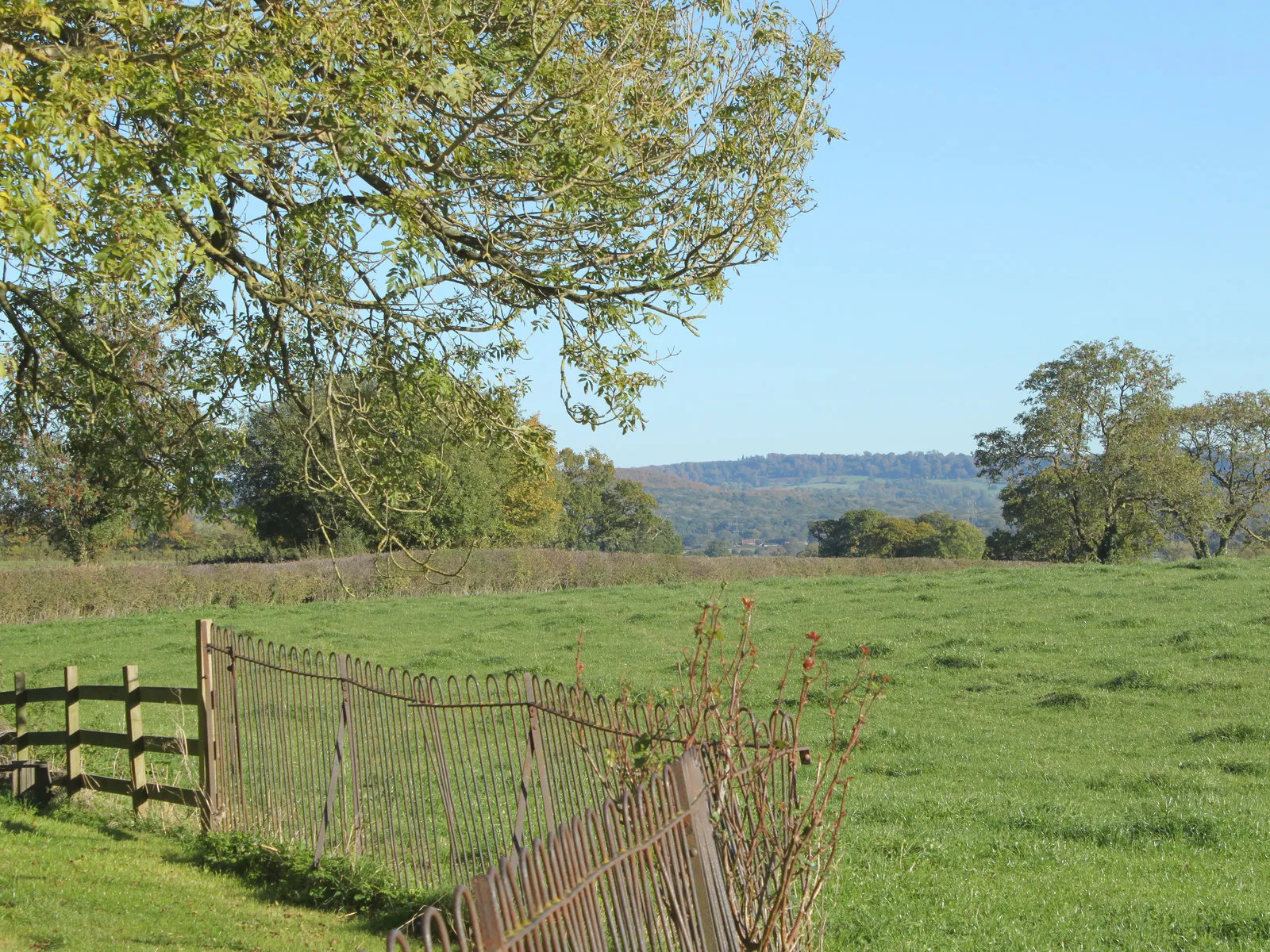 Photo showing: 2010 : Looking east near Knoll Hill Farm