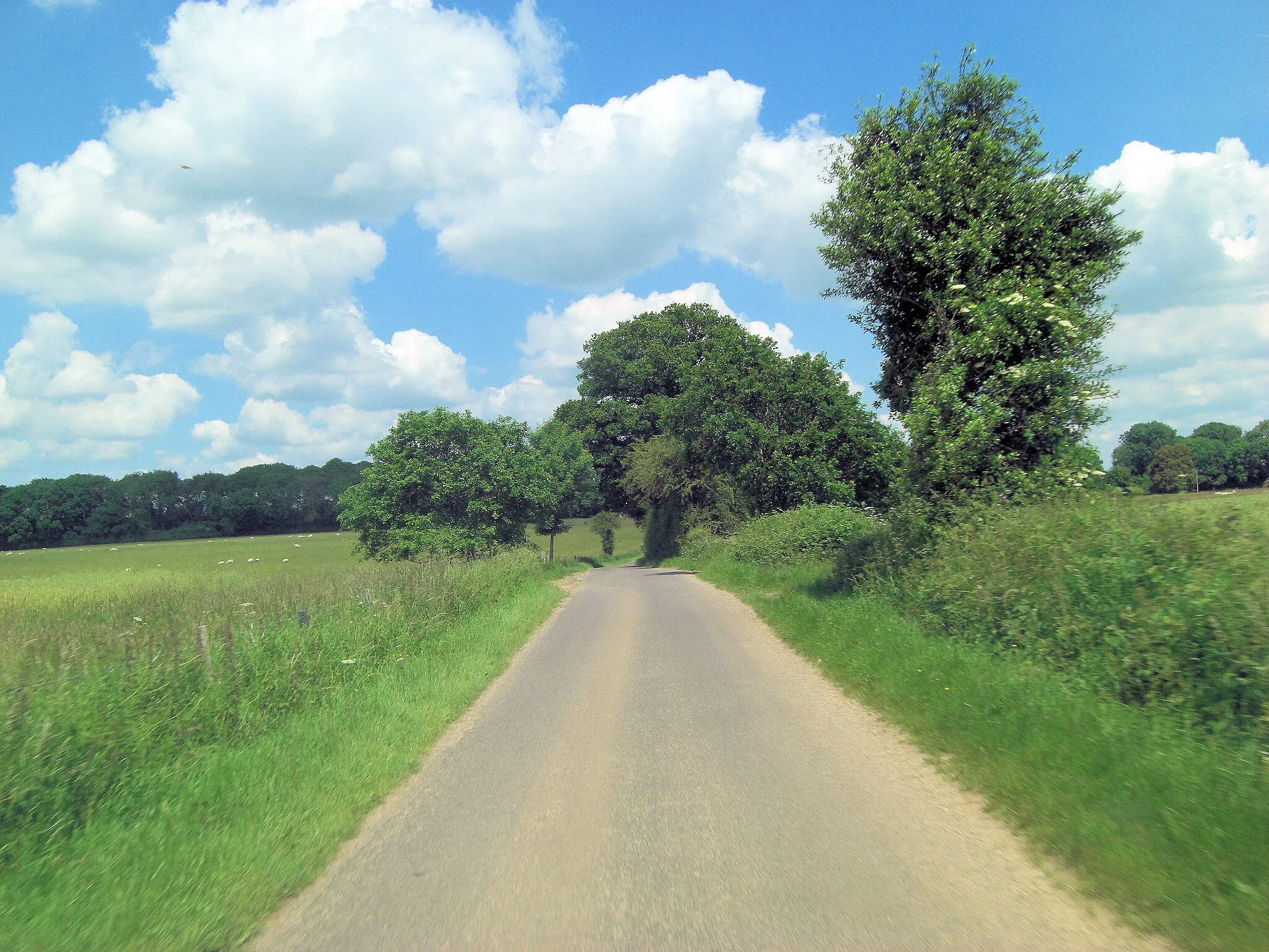 Photo showing: Lodge Lane east of Longbottom Farm