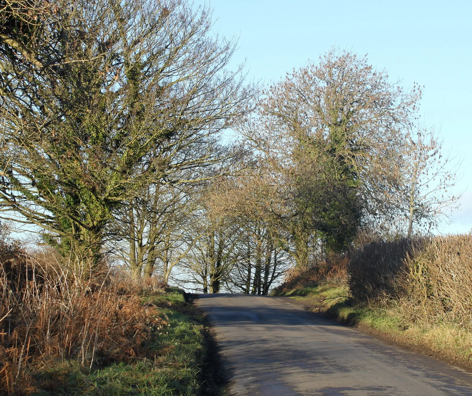 Photo showing: 2011 : Hollybush Lane, near Leigh on Mendip