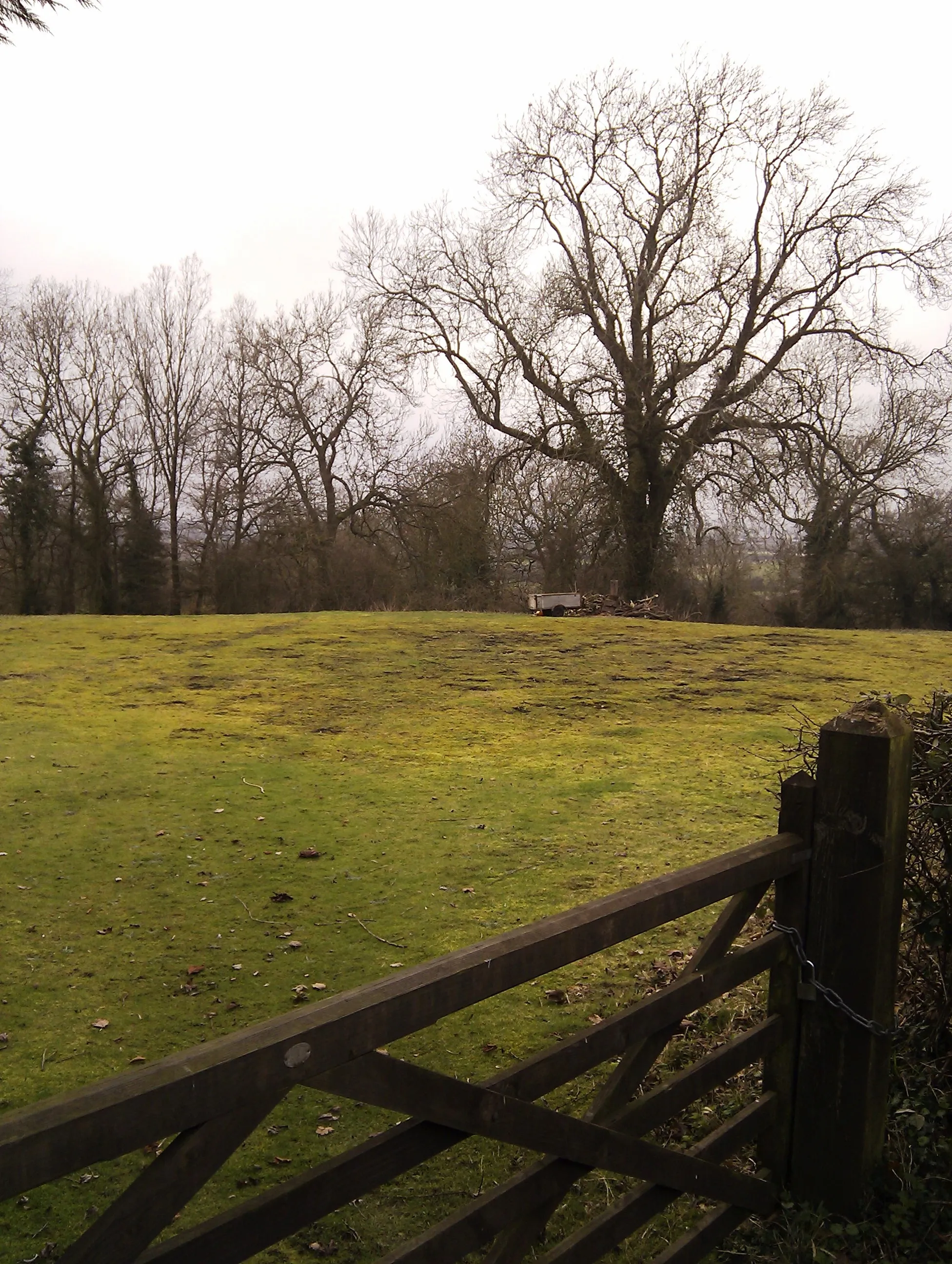 Photo showing: Site of Wapley Pit.