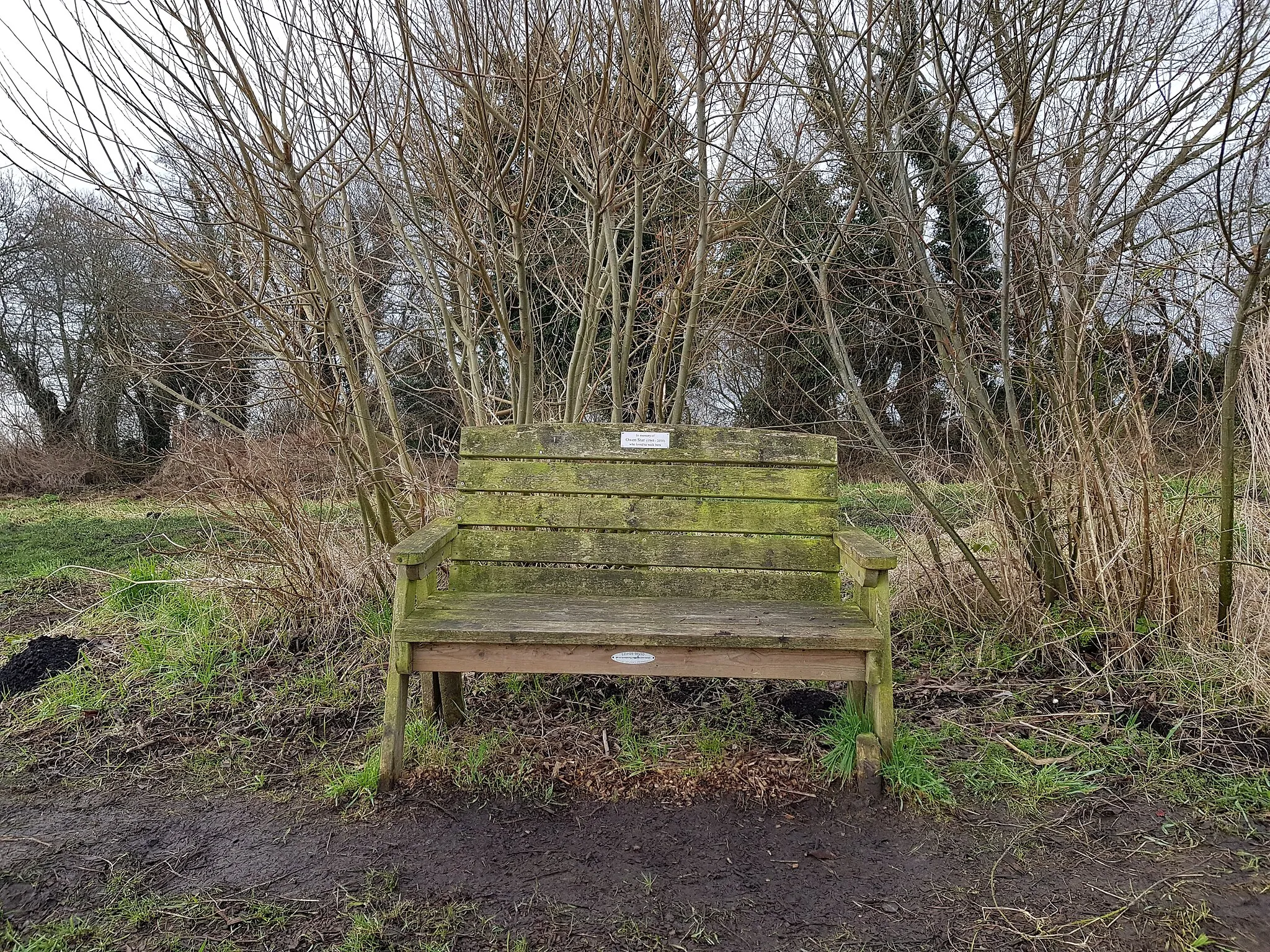 Photo showing: In memory of
Owen Star (1948-2010)
who loved to walk here