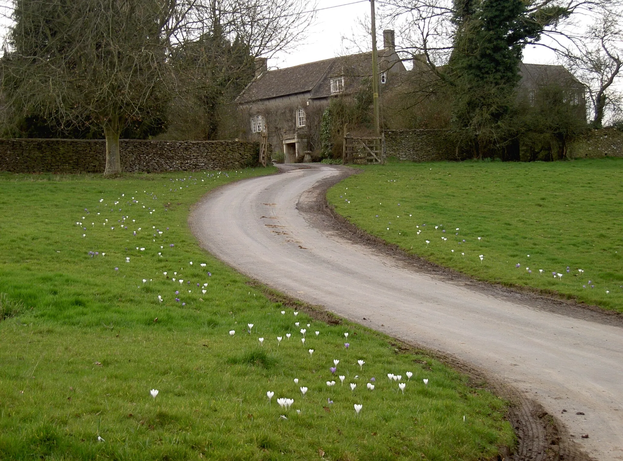 Photo showing: The path of flowers