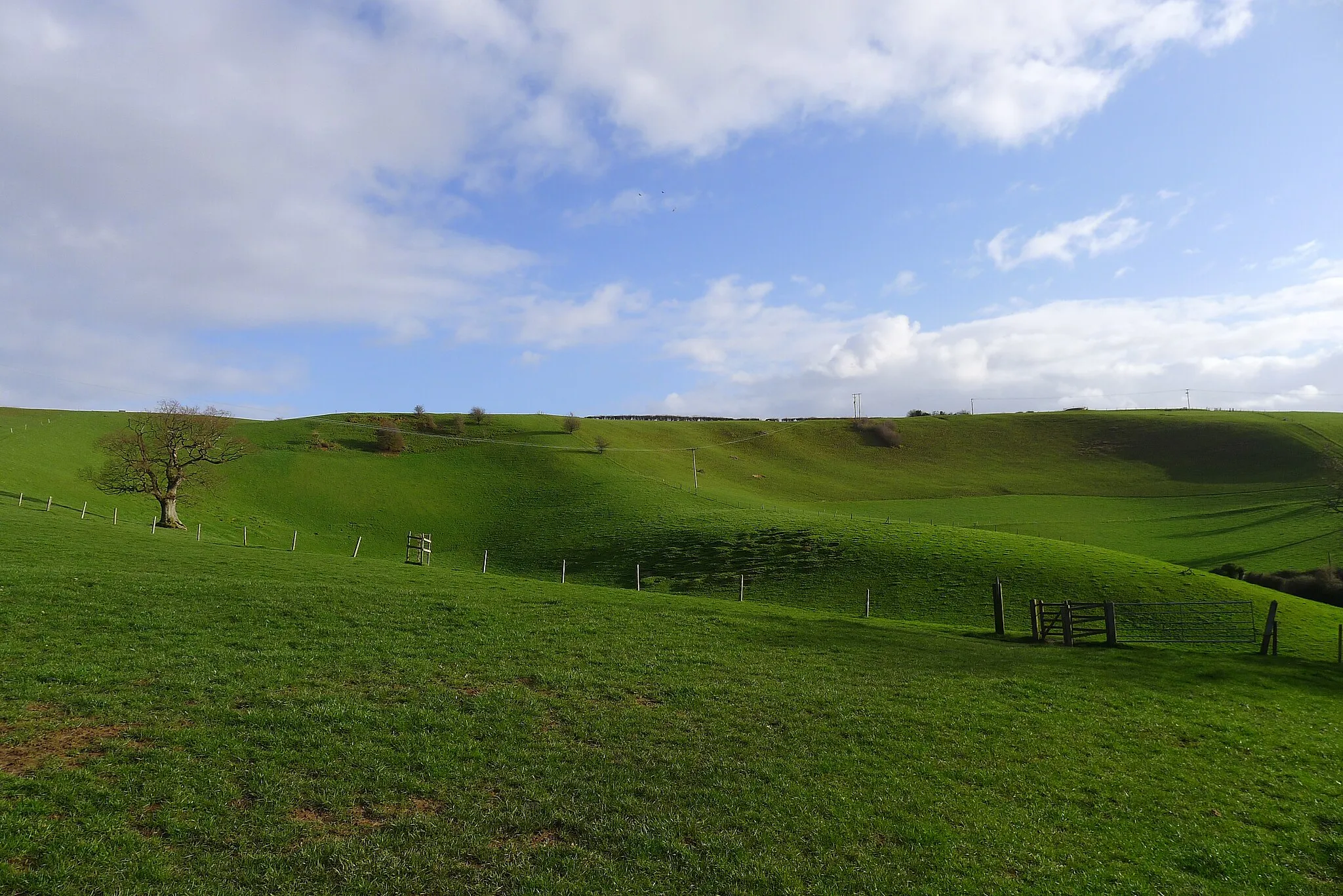 Photo showing: Lodge Hill, Castle Cary