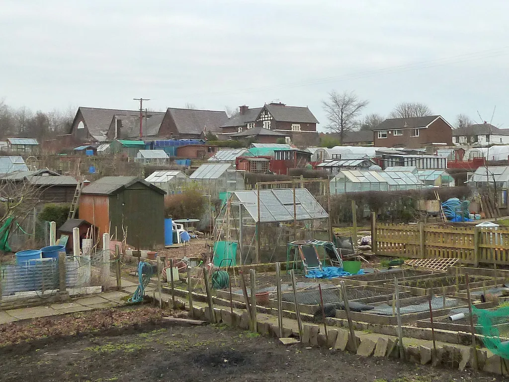 Photo showing: Allotments at New Springs, Wigan