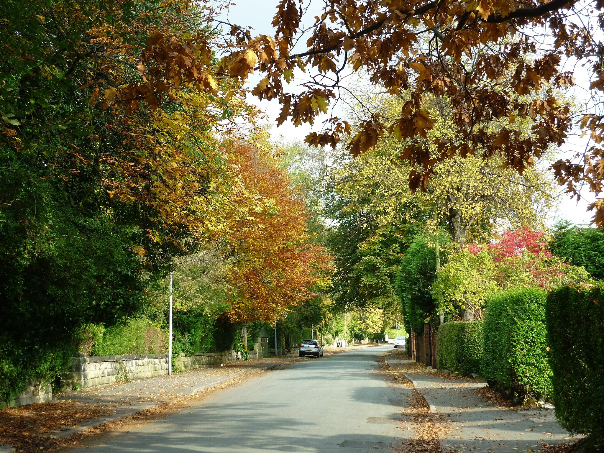 Photo showing: Old Hall Road