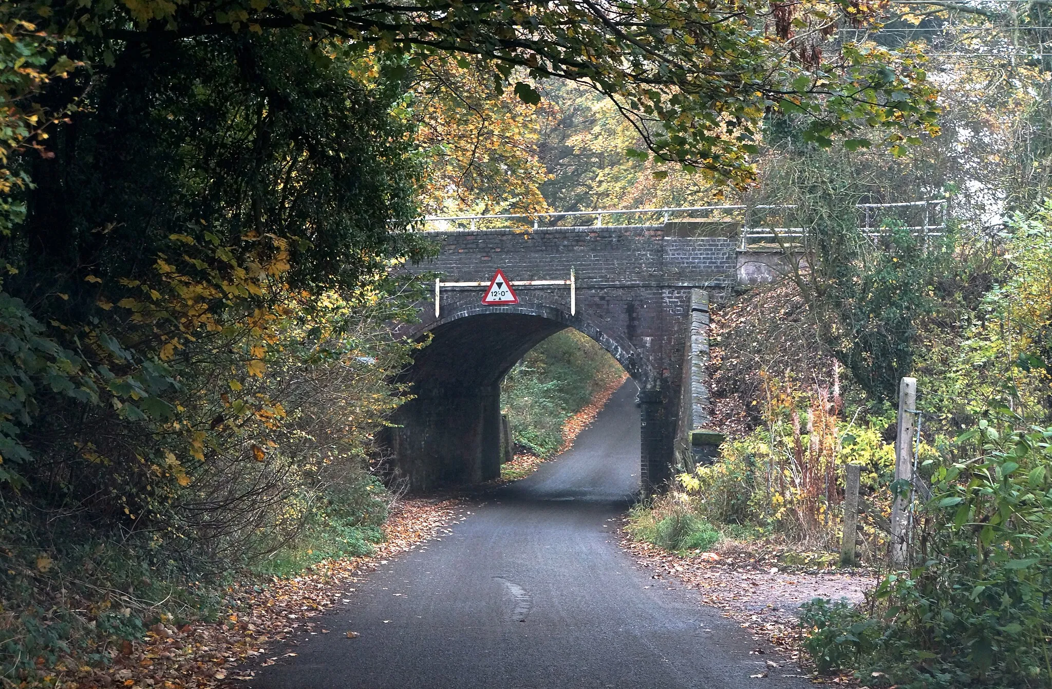 Photo showing: Bridge near Plumley Station