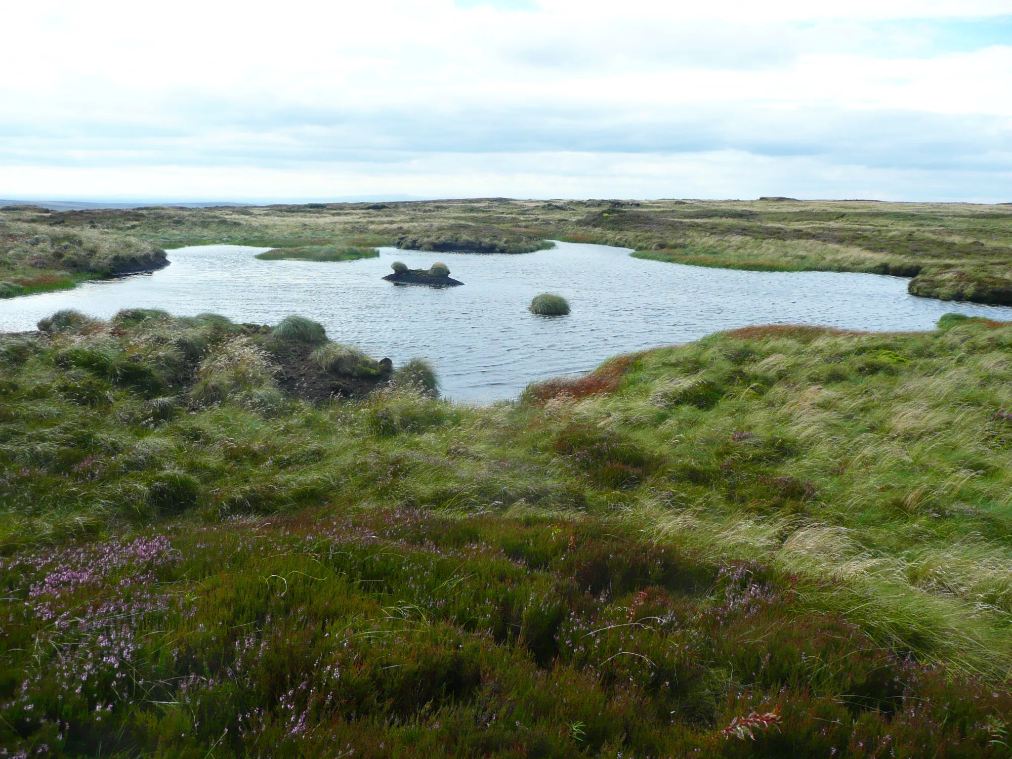 Photo showing: A moorland pond on Tooleyshaw Moss, Tintwistle