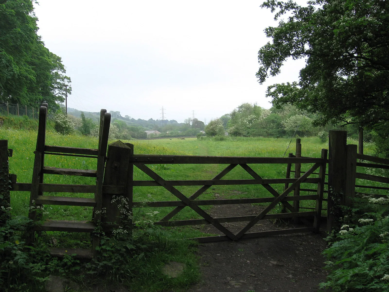 Photo showing: Chinley - footpath from Chapel Milton to Bridgeholm Green