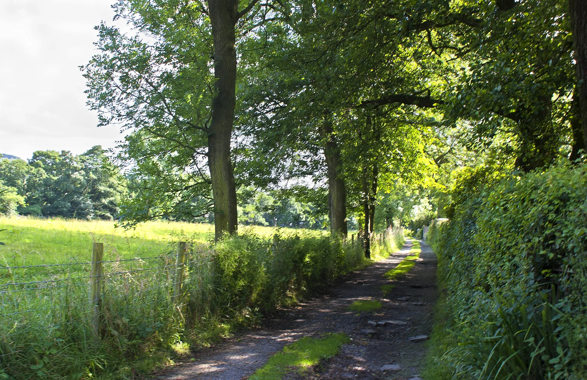 Photo showing: A footpath to Bagganley Lane Farm