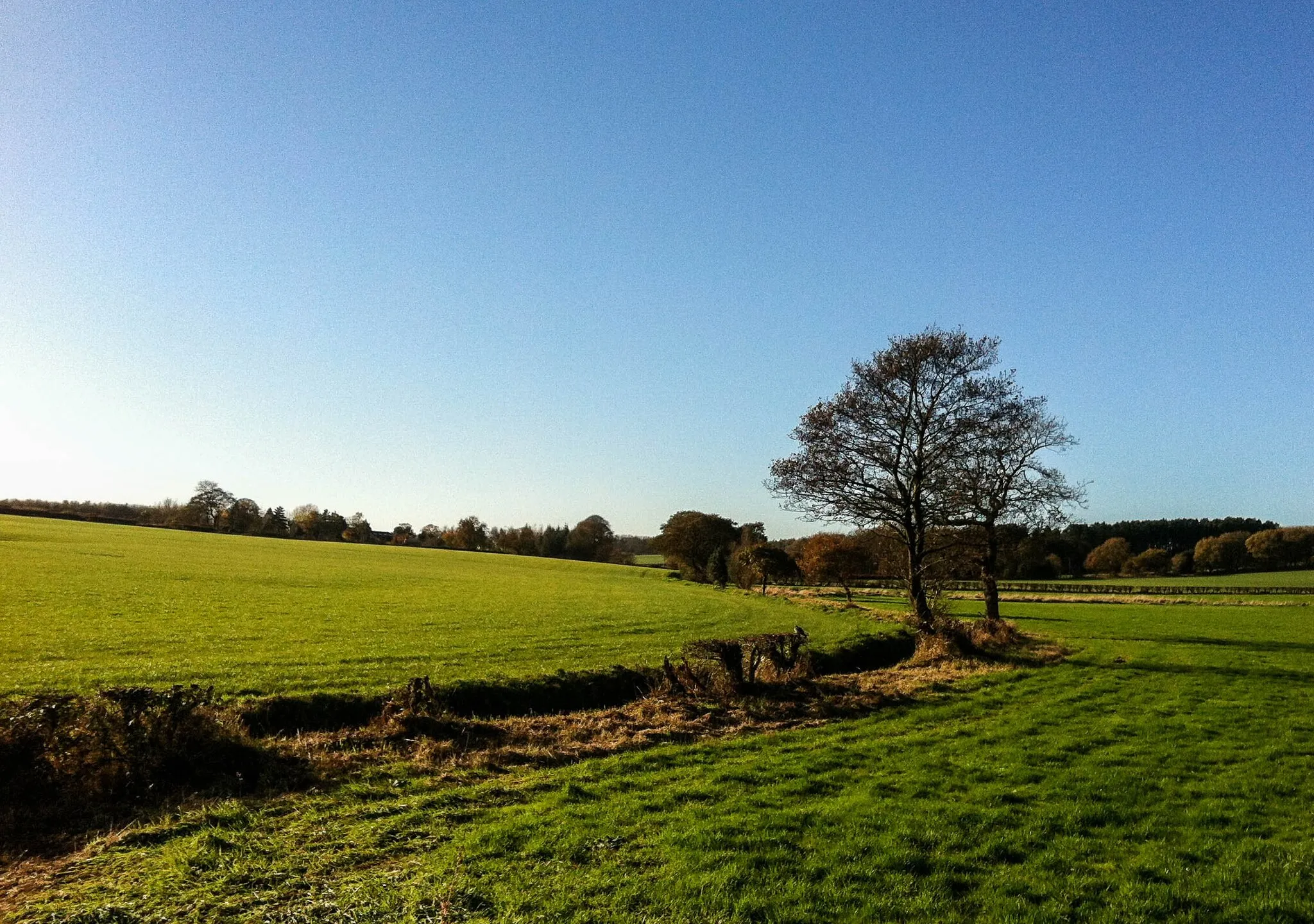 Photo showing: Afternoon sun, Courage Low Lane