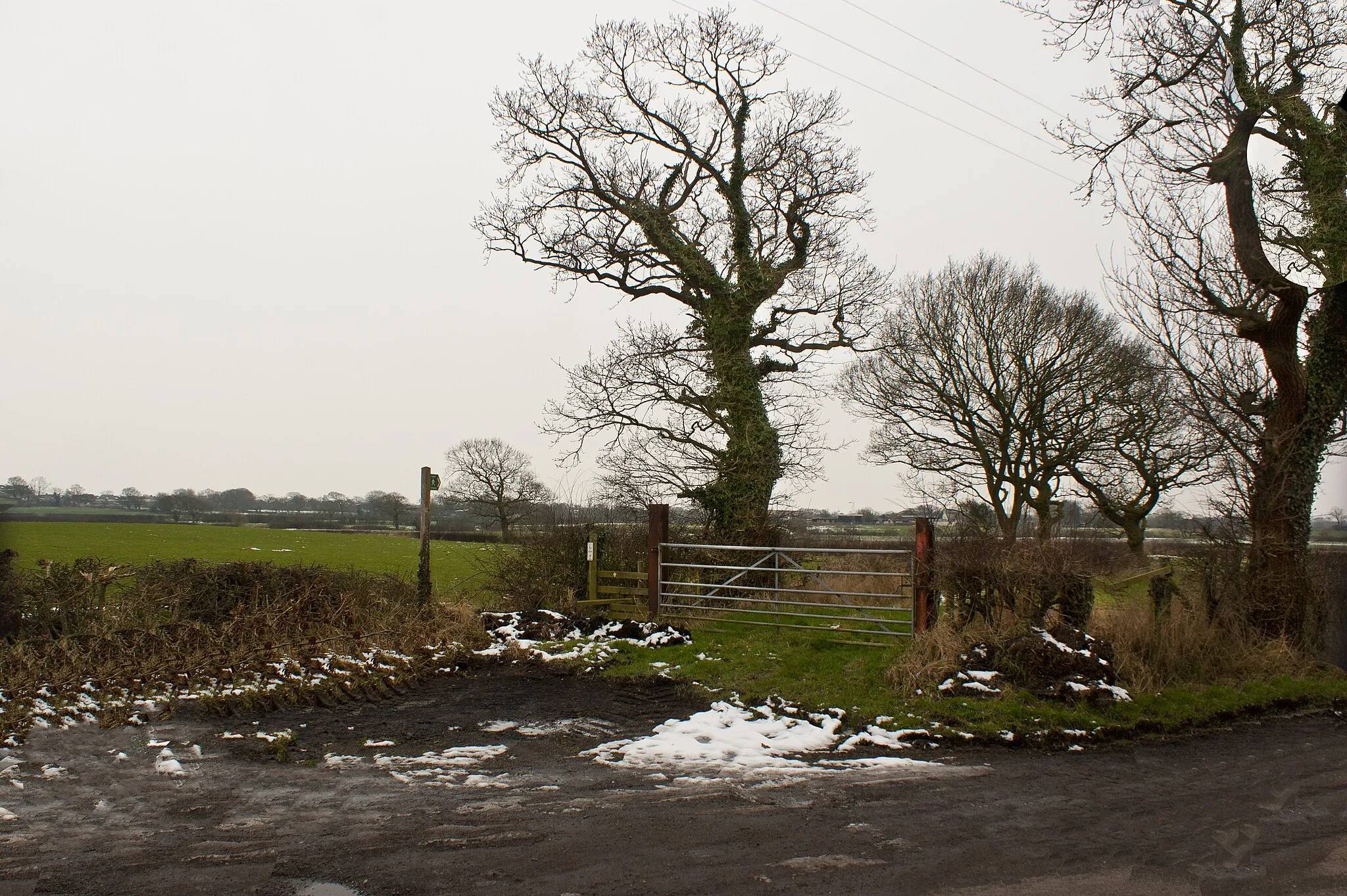 Photo showing: A footpath off Holker Lane