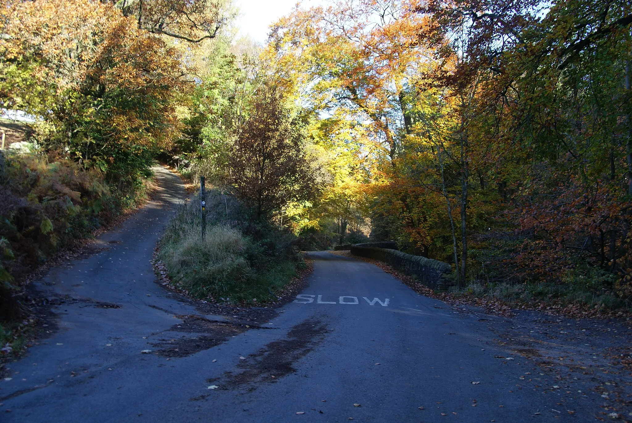 Photo showing: Choice of routes in Wildboarclough