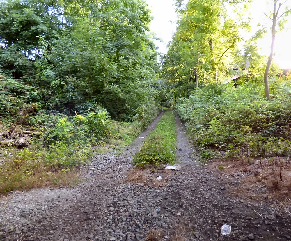 Photo showing: Abandoned railway line