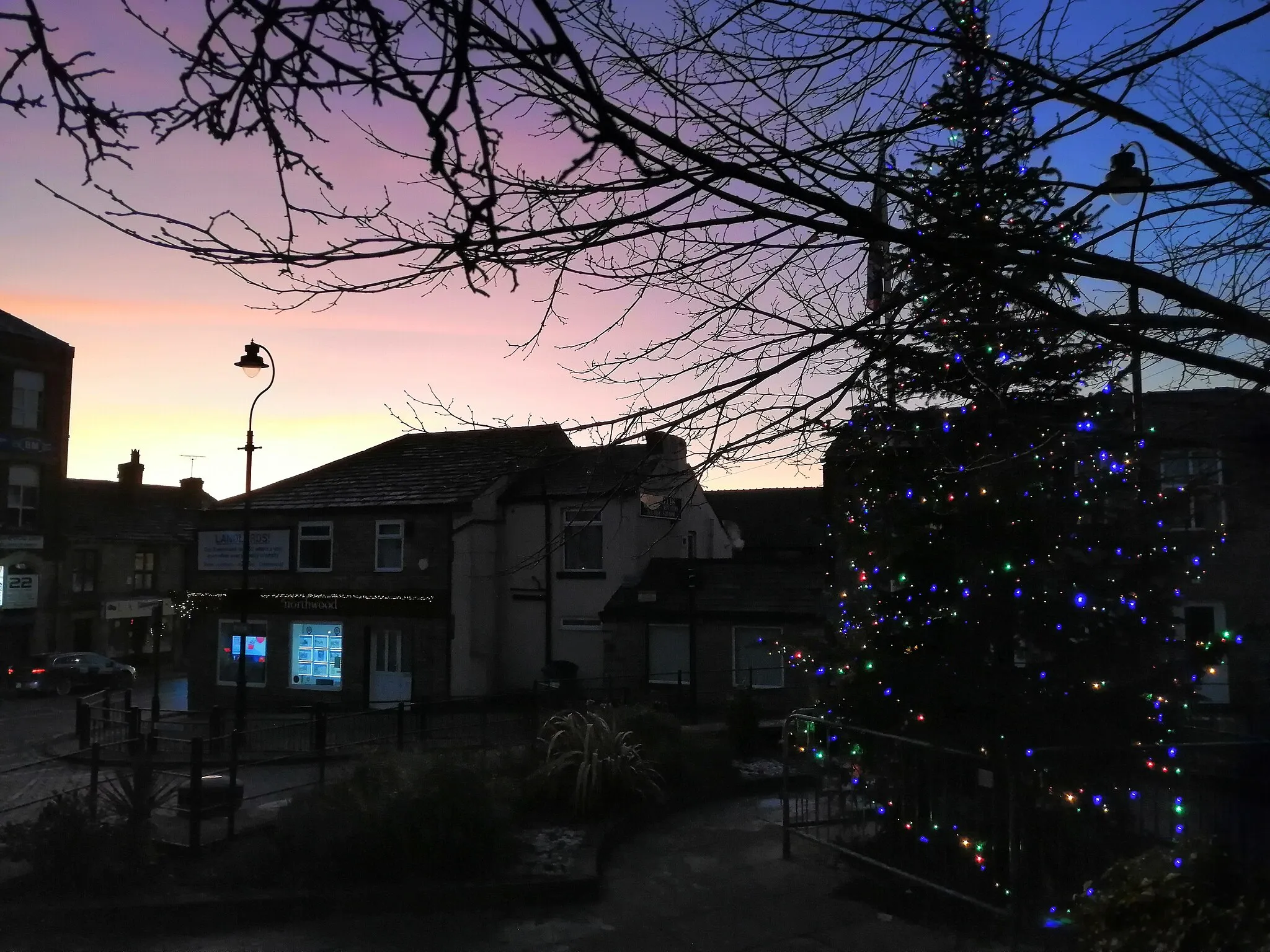 Photo showing: Christmas tree in lees square with a purple sky