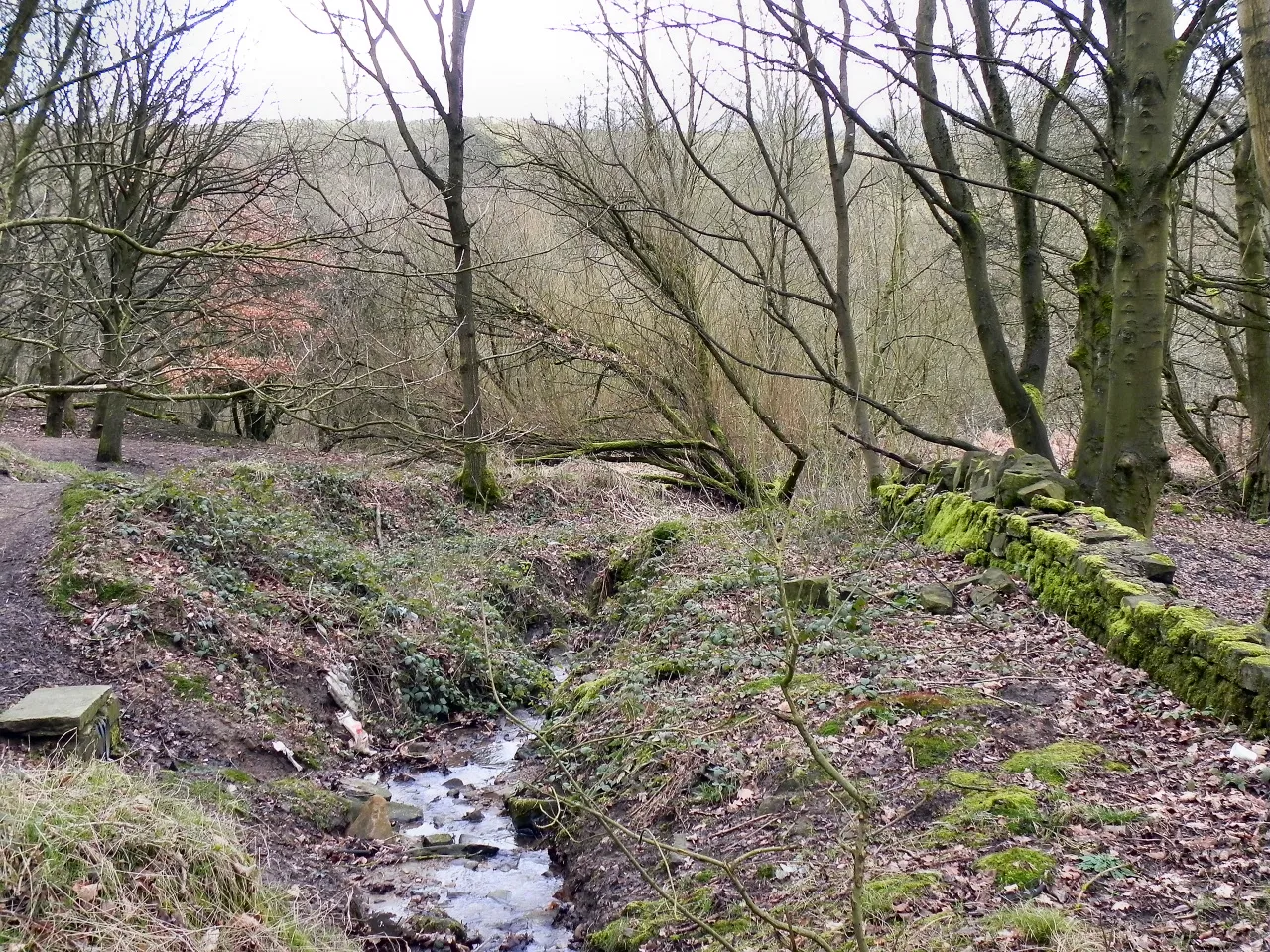 Photo showing: Bankfield Clough