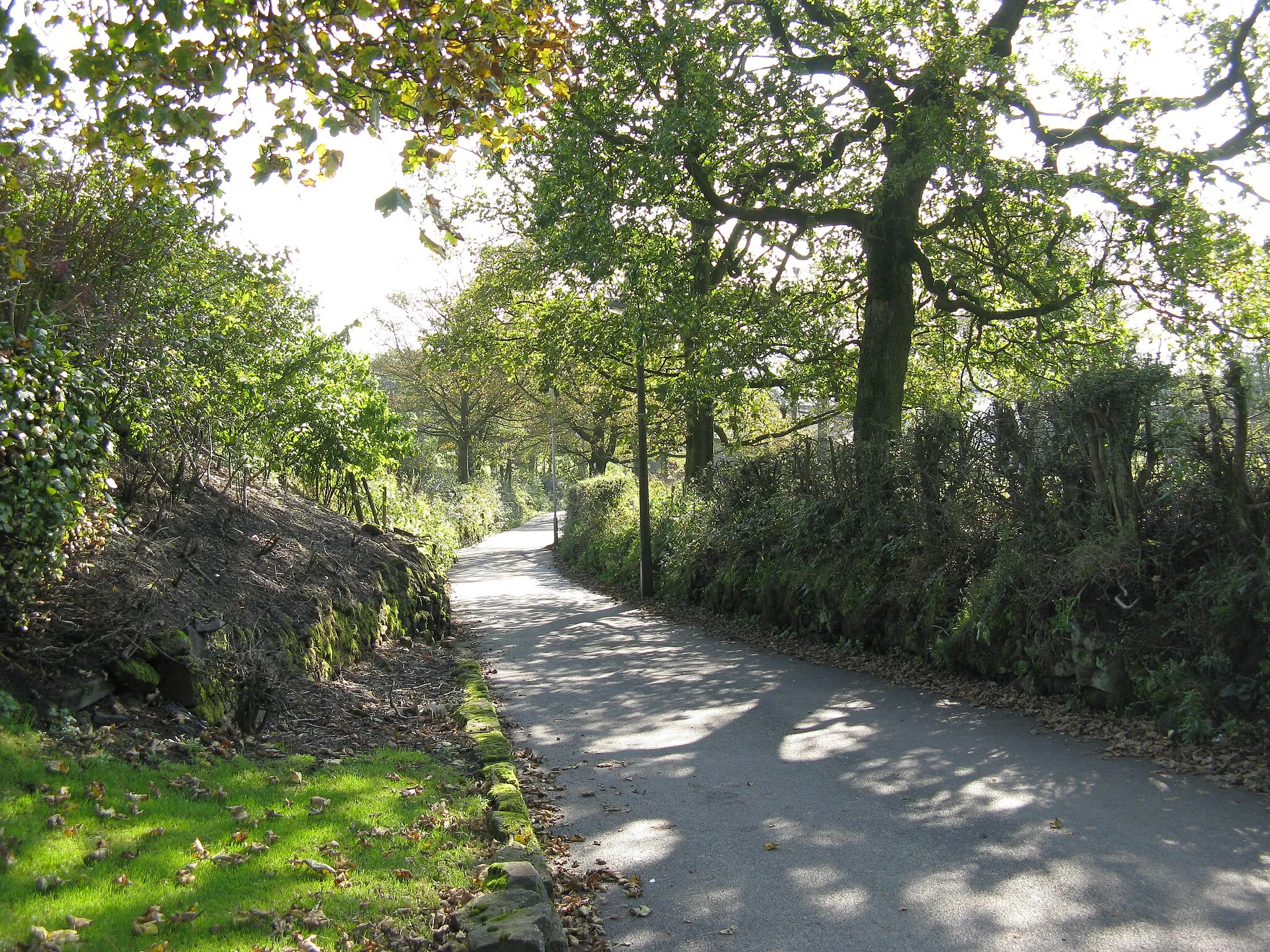 Photo showing: Birtle, Lancashire:  Birtle Road