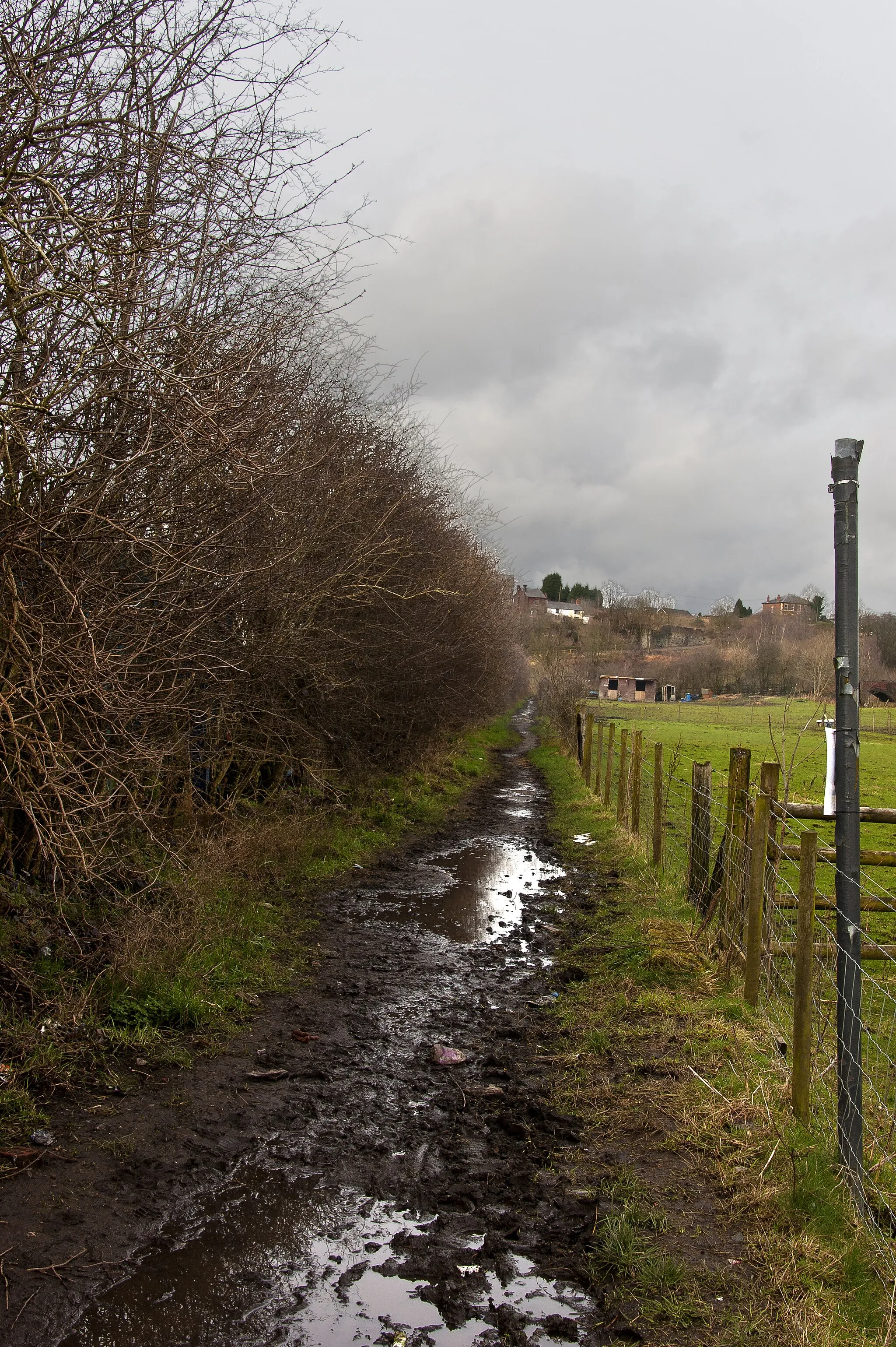 Photo showing: A very muddy path