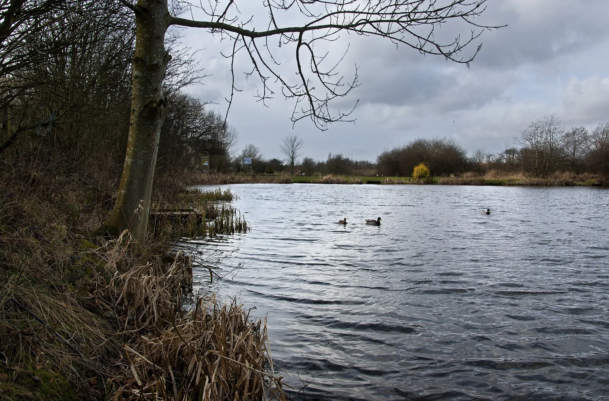 Photo showing: One of the reservoirs at Bradley Fold