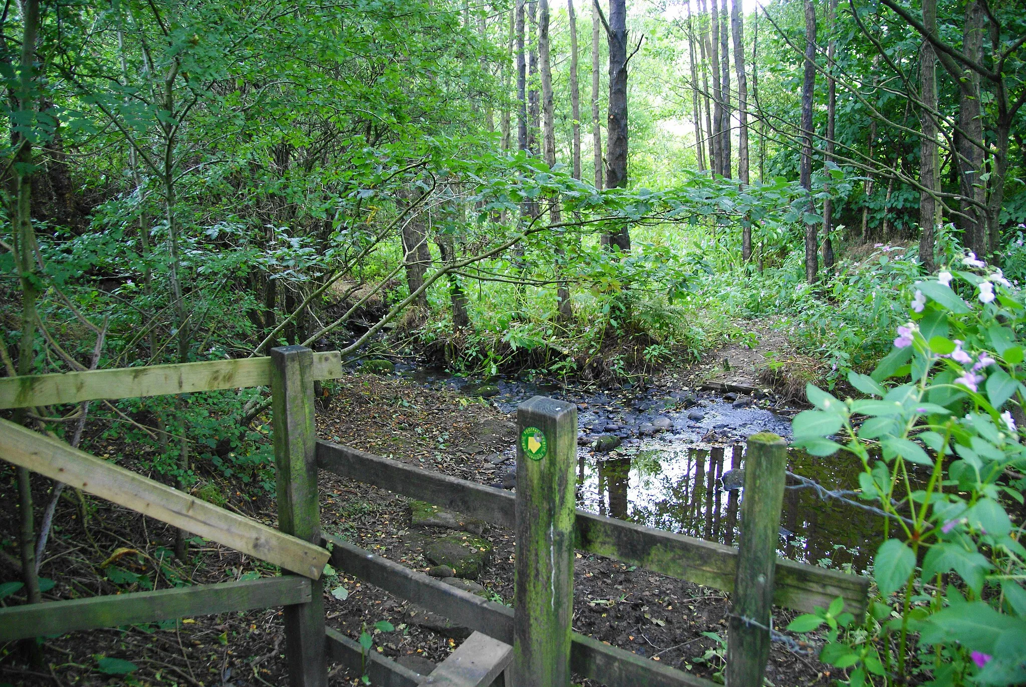 Photo showing: A woodland ford