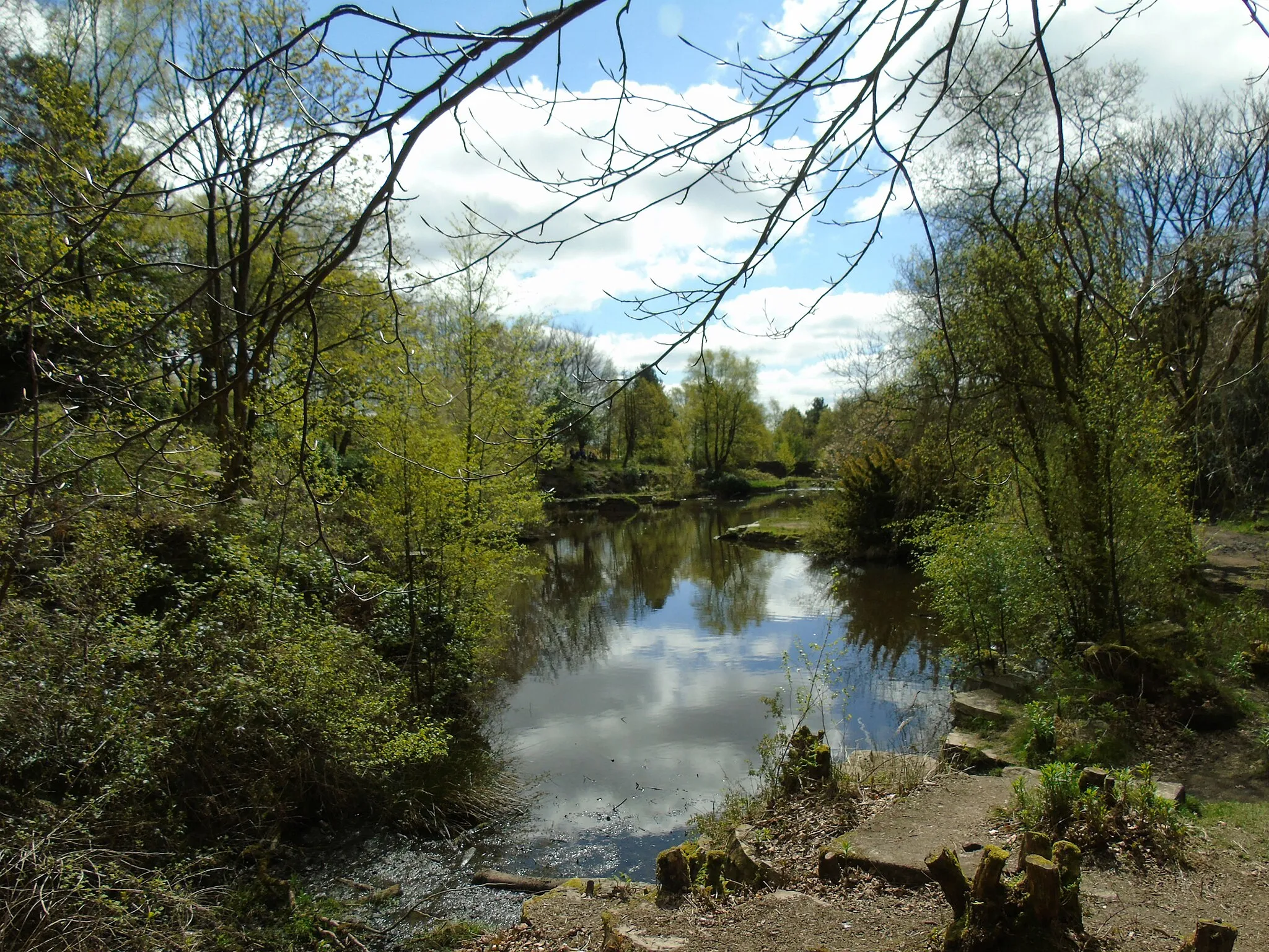 Photo showing: Japanese Gardens (1)